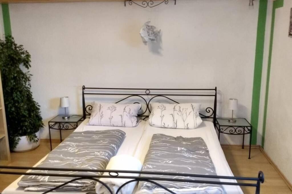 Ruhige Ferienwohnung Inklusive Garten Souterrain - Neu Renoviert Lachen エクステリア 写真